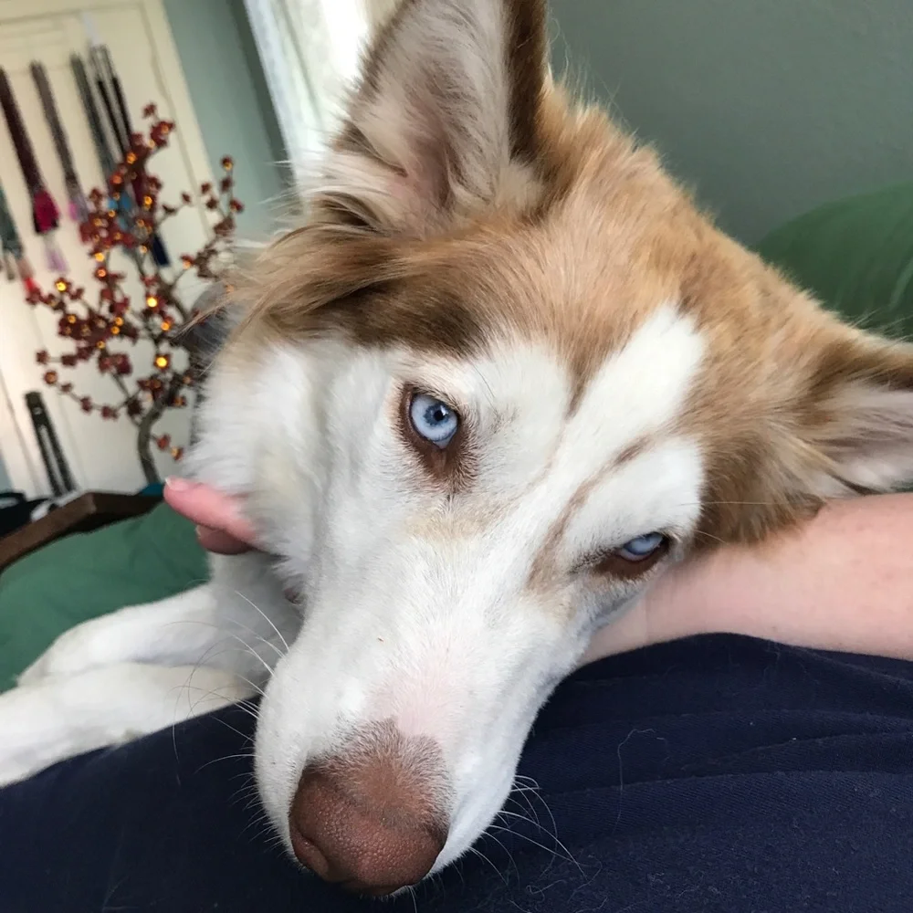 Meet your Posher, Nancy - Picture 5 of 7